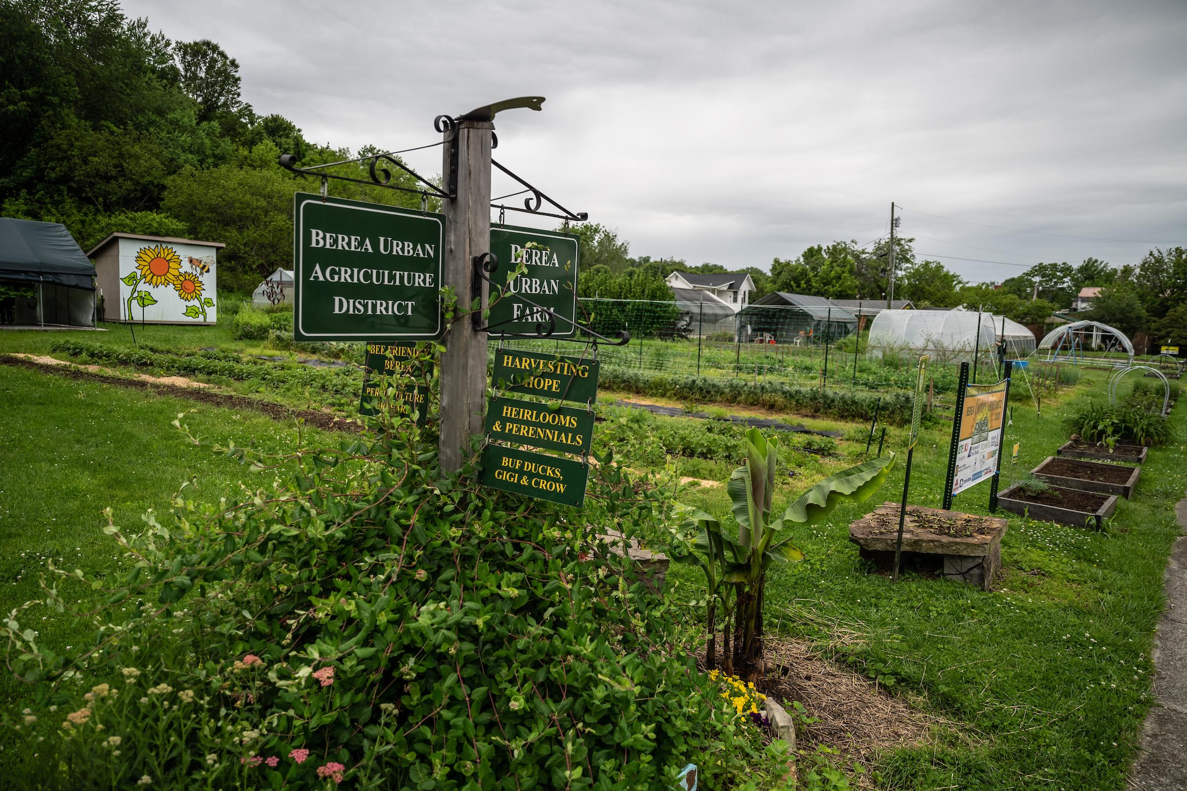 Grow Appalachia urban farm